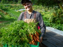 Apprentice Stoni with a whole lot of carrots!