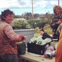 Bagging produce during a Wednesday work party