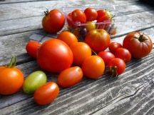 Beautiful tomatoes